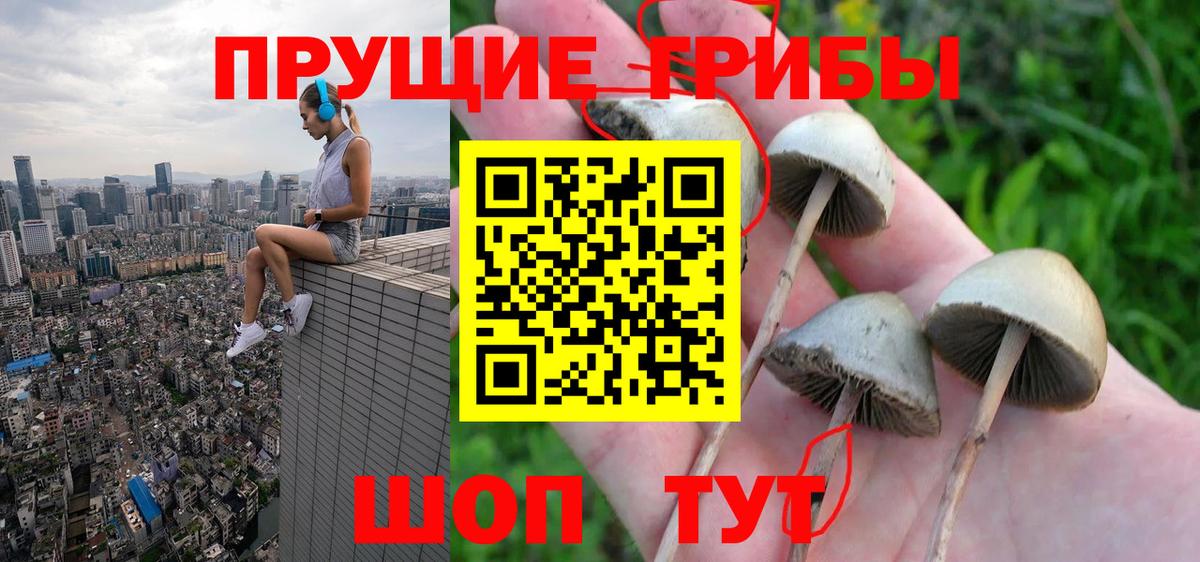 Галлюциногенные грибы прущие грибы Белогорск