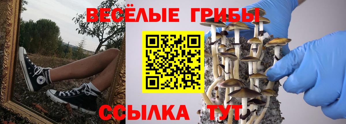 Галлюциногенные грибы Psilocybe  Псилоцибиновые грибы Cubensis  Вход с VPN  Белогорск 